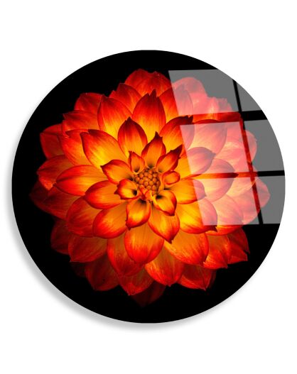 Impression sur verre Fleur multicolore - D.30 m